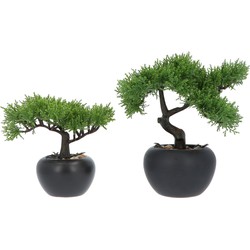 Kopu® 2 stuks Kunstplant Bonsai boompje Ceder 19 en 25 cm met Pot