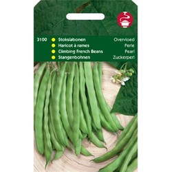 5 stuks - Samen Stick-lettuces Fülle Typ Interesse 100g Garten Plus - Tuinplus