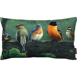 Painted Birds | 30 x 50 cm | Kussenhoes | Katoen/Linnen