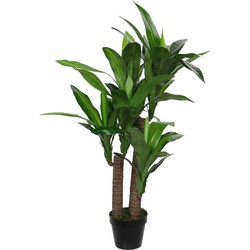 Dracaena Kunstplant - H110 x Ø60 cm | NeverLeafs