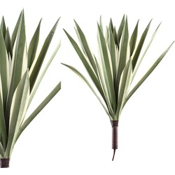 PTMD Agave Kunsttak - 31 x 31 x 48 cm - Groen