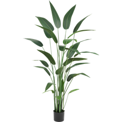 Greenmoods Heliconia - Helikonplant - Kunstplant - 1 Stuk - 180cm - Groen