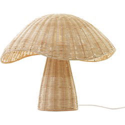 Boletus, table lamp fungus natural
