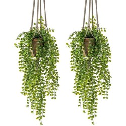 2x Groene hangende kunstplant ficus plant in pot - Kunstplanten