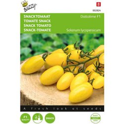 Zaden snacktomaat dattolime f1 8 zaden - Buzzy