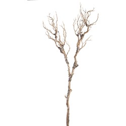 PTMD Kunstplant Twig Plant - 54x54x100 cm - Plastic - Bruin