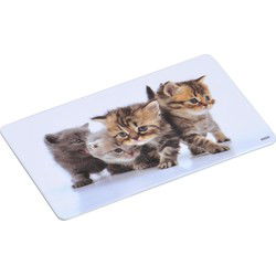 Kunststof bordjes/ontbijt plankjes met kitten print - 4x - kinderen - Placemats