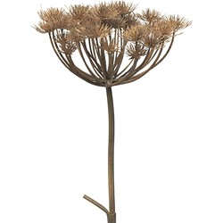Heracleum grey/brown 98 cm kunstbloem - Nova Nature