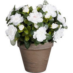 Mica Decorations Azalea Kunstplant in Bloempot Stan - H31 x Ø26 cm - Wit