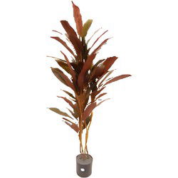 Dracaena rood 150 cm kunstplant Oosterik Home