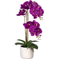 Kopu® Kunstbloem Orchidee 60 cm Lila - cement Sierpot - Phalenopsis