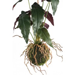 PTMD Trifolium Kunstplant - 30 x 28 x 42 cm  - Kunststof - Groen