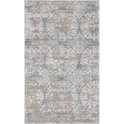 Safavieh Traditional Indoor Woven Area Rug, Isabella Collection, ISA958, in Silver & Ivory, 122 X 183 cm