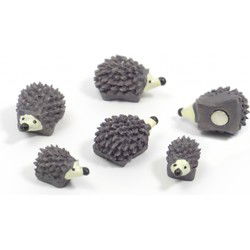 Trendform Magnetische Egel - set van 6 verschillende