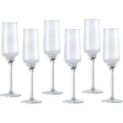 Luxury houseware Champagneglazen - 36x - glas - 220 ml - Champagneglazen