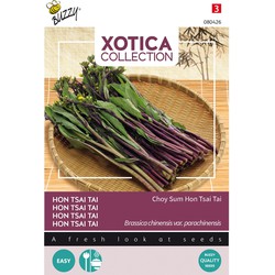 Xotica Purple Choy Sum Hon Tsai Tai