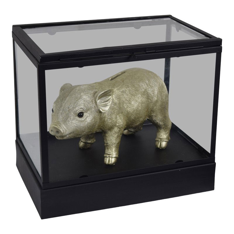 LOFT42 Showy Glazen Display Box Zwart - Metaal - (27x30x20) - 