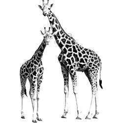 ESTAhome fotobehang giraffen zwart en wit