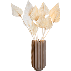 Droogbloemen - Set van 10 - Boeket 'Palmspear Bleached White' - Droogbloemen