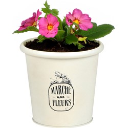 Sunnydays /plantenpot - zink - ivoorwit - D14 x H13 cm - IJzeren emmer / teil