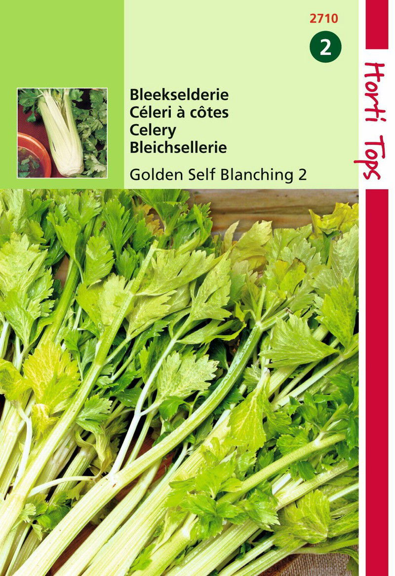 2 stuks - Bleekselderie Goudgele Zelfblekende 2 - 