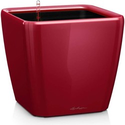 LECHUZA Quadro Premium LS 50 bloempot - complete set, glanzend scharlakenrood