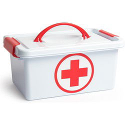 Plasticforte EHBO opbergdoos - 4L - Medicijn/EHBO - Opbergkisten