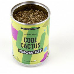 Gift Republic Coole Cactus