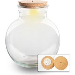 URBANJNGL - Terrarium met kurk - Teddy - Gesloten terrarium ↑ 26,5 cm