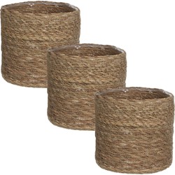 3x stuks naturel bruin rotan planten pot mand van gedraaid jute/riet H16 en D16 cm - Plantenpotten