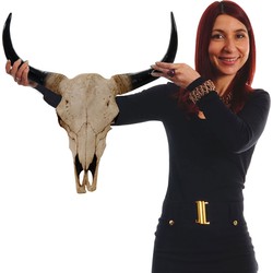 Cosmo Casa  Deko Schedel 45cm - Polyresin Stier Bulle Longhorn Hoofd Trofee - Binnen - Buitenshuis - Natuurlijk gekleurd