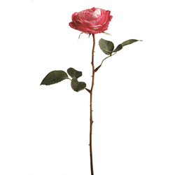 Tige de Rose Tea - Rose / 33 cm