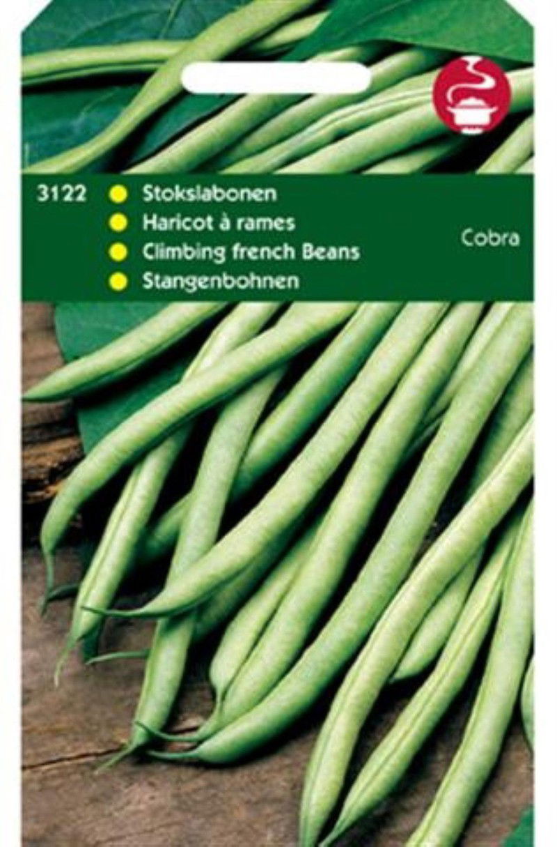 5 stuks - Stokslabonen Cobra - 