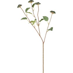 Branche de Baies avec feuilles - Vert foncé / 73 cm