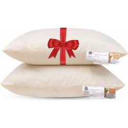Terschellinger Hoofdkussen - Set van 2 stuks - IWS gecertificeerd Wol - Zacht/Medium - 60x70cm