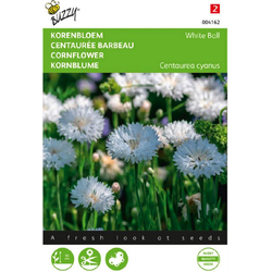 Zaden centaurea korenbloem white ball ca.1 gram - Buzzy