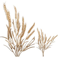 PTMD Leaves Plant Tarwe Kunsttak - 34 x 19 x 43 cm - Metallic goud