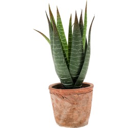 Emerald Kunstplant Aloe Vera - groen - in oude terracotta pot - 23 cm - Kunstplanten