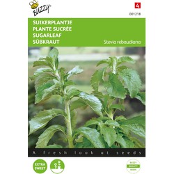 2 stuks - Stevia, Suikerplantje of Honingkruid