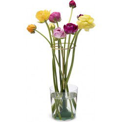 Peleg Design Invisivase wordt vertaald naar het Nederlands.