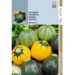 3 stuks - Saatgut Zucchini Runde F1 Arten gemischte Farben - Hortitops