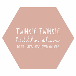 Label2X Muurhexagon twinkle twinkel zalm Dibond - Aanbevolen / 24 x 20 cm - 24 x 20 cm
