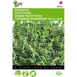 2 stuks - Tijm Echte Winter Thymus vulgaris