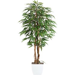 Kopu® Kunstplant Ficus 150 cm met witte Pot - 720 bladeren