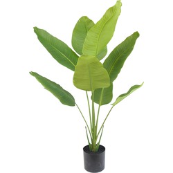 Kunstplant Strelitzia 120 cm | NeverLeafs