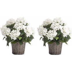 2x Witte Hortensia plant in mand 45 cm - Kunstplanten