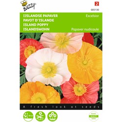 2 stuks - Papaver nudicaule excelsior Gem. IJslandse Papaver