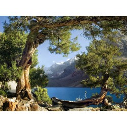 Sanders & Sanders fotobehang berglandschap groen, blauw en grijs - 180 x 127 cm - 600344