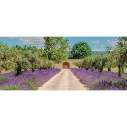 Lavendel deur 130x50cm Tuinschilderij - Customize-it