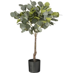 Mica Decorations Eucalyptus Kunstplant in Bloempot - H75 x Ø15 cm - Groen 